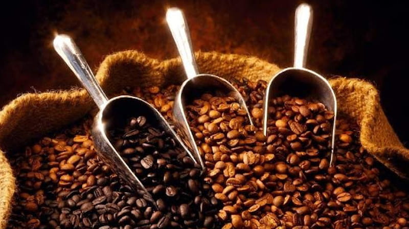 Diferencia entre tipo de tostado claro medio oscuro